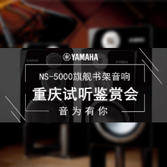 鉴赏会:凯发一触即发Hi-end旗舰书架音箱NS-5000重庆利声音响鉴赏会